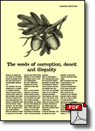 The seeds of corruption, deceit and illegality